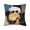Hamster Faded Funny s Style Square Pillow Cases  Cushion Cover Fashion Zippered Decorative Pillowcase for Home cm