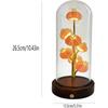 Handcrafted Sea Urchin Shell Night Light - Natural Real Urchin Lamp with Glass Dome Wooden Base, Warm LED Coastal Table Lamp