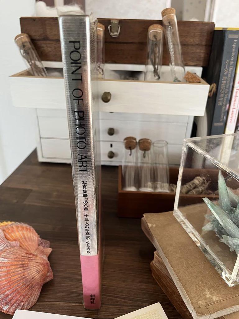 [USED] POINT OF PHOTO ART