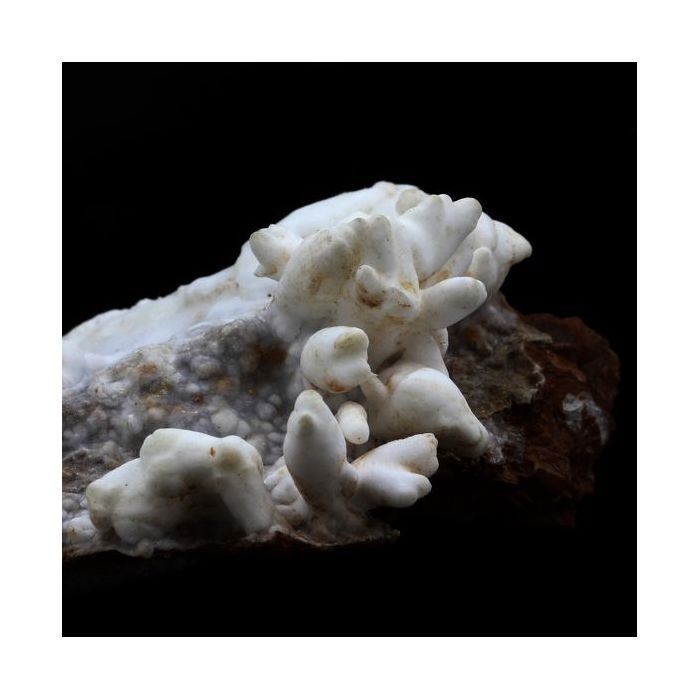 Pierres et Minéraux. Aragonite coralloide + Siderite. 590.0 ct. Saint-Pierre-de-Mésage, Vizille, France..