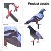 Garden Pigeon Outdoor Space Package Content Specifications