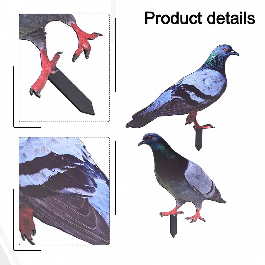 Garden Pigeon Outdoor Space Package Content Specifications