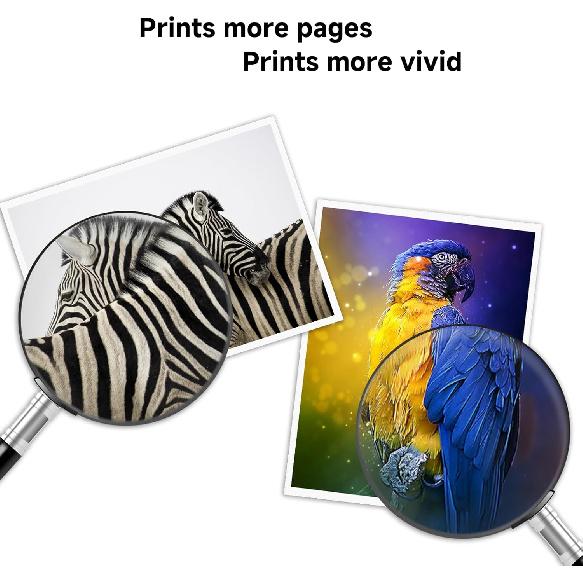 902XL Black Color Combo Pack Compatible Ink Cartridge Replacement for HP 902 XL 902XL (4-Pack) Work with Officejet Pro 6978 6968 6970 6968 6962 6975