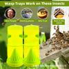 2 Pack Collapsible Wasp Trap Fly Catcher Outdoor Garden Insect Fruit Fly Traps