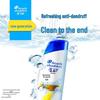 Head & Shoulders Refreshing Oil Control Shampoo