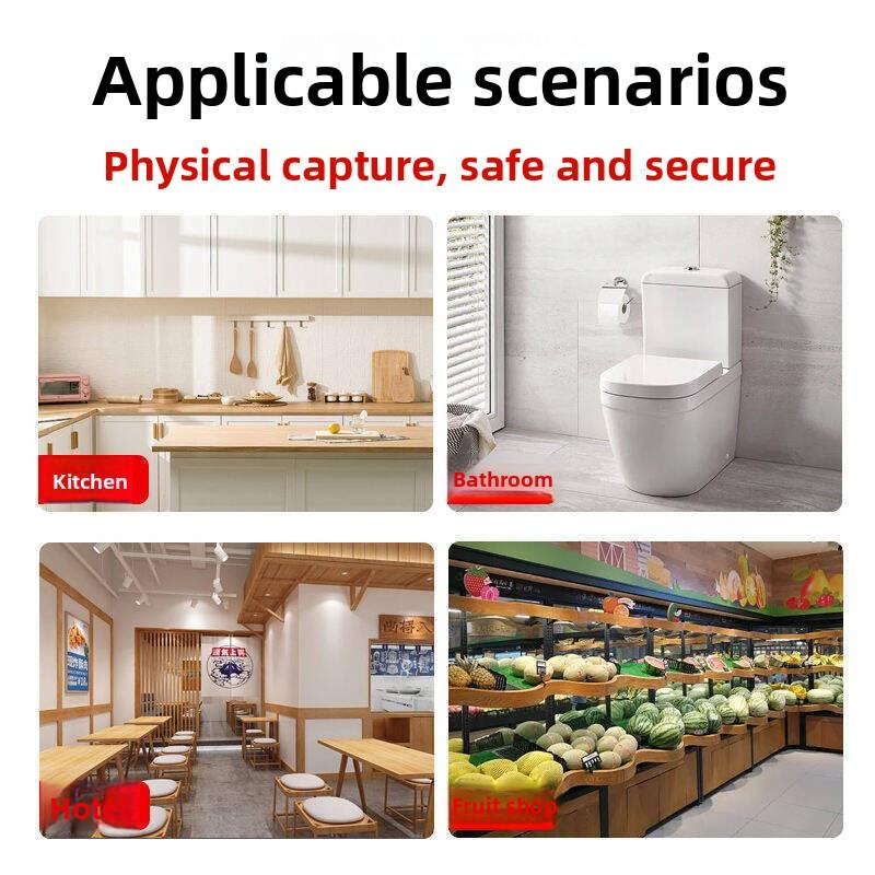 Fliegenabweisende Fliegenfangkugel für Wohnzimmer und Küche