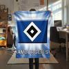 Hamburger SV Print FlAannel Blanket, High Quality Comfortable for All Seasons, Home Decor, Warmth and Comfort
