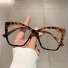 Oversized Cat Eye Eyeglasses  Butterfly Candy Color Blue Light Blocking Eyewear Trendy Non-prescription Spectacles