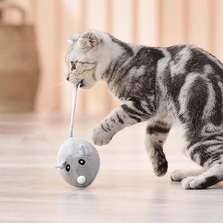 Mice Toys for Cats Moving Mouse Play-Catch Interactive Training Toy for Kitten