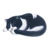 Floor Mat Foot Mat Non-slip Mat Entrance Door Bathroom Water-absorbent Bathroom 3D Kitten Animal Bedroom Bedside Blanket Living Room