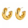 Earrings Stainless Steel Gold Plated 14K Gold Thick Hoops Stud Women's