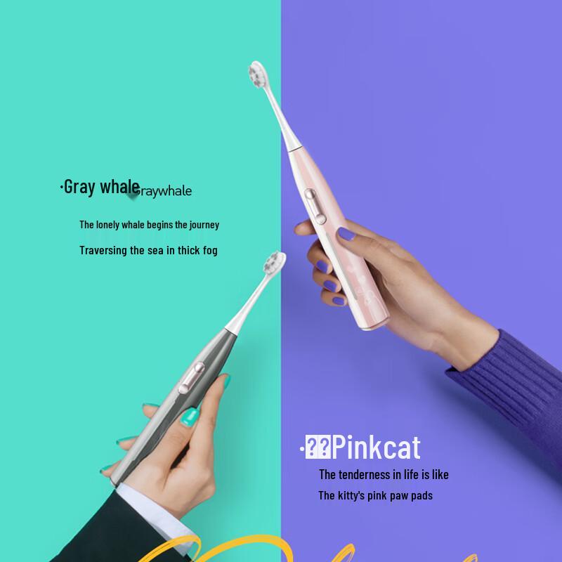 DR.BEI Grey Whale Limited Edition Sonic Electric Toothbrush