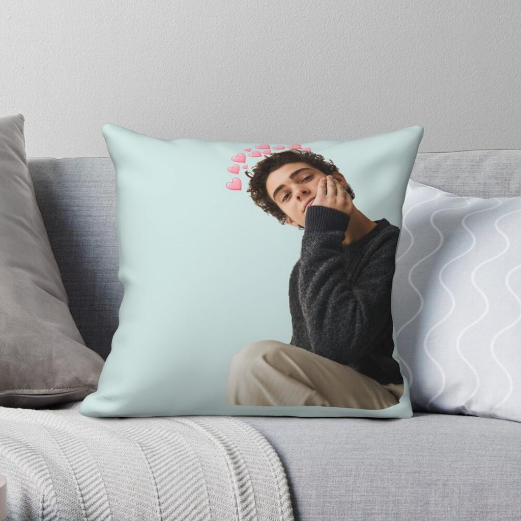 Joshua Bassett High School Musical Pillowcase Polyester Linen Velvet Printed Zip Decorative Throw Pillow Case Room Cushion Case