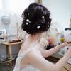 18 Pcs Set Pearls Hair Combs Bridal Headdress Women Beads Hairpins Wedding Hair Sticks Jewelry Accessories