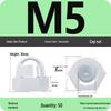 Galvanized M4M5 Round Head Decorative Nut Cap