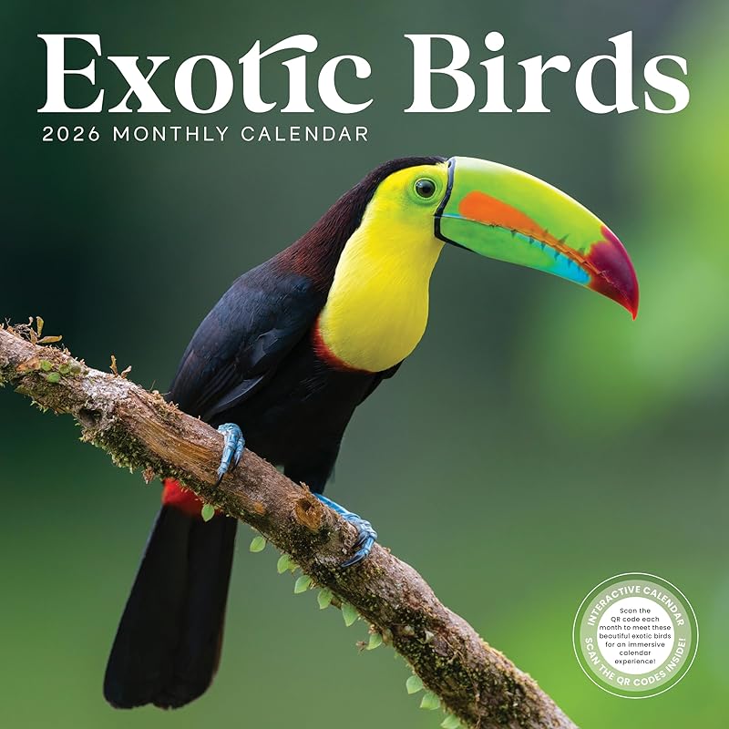 Exotic Birds 2026 Calendar, 2026 Wall Calendar, Monthly Planner, Planner 2026-2027, Marble City Press, 12” x 24”, Sustainable, Plastic Free, 2026
