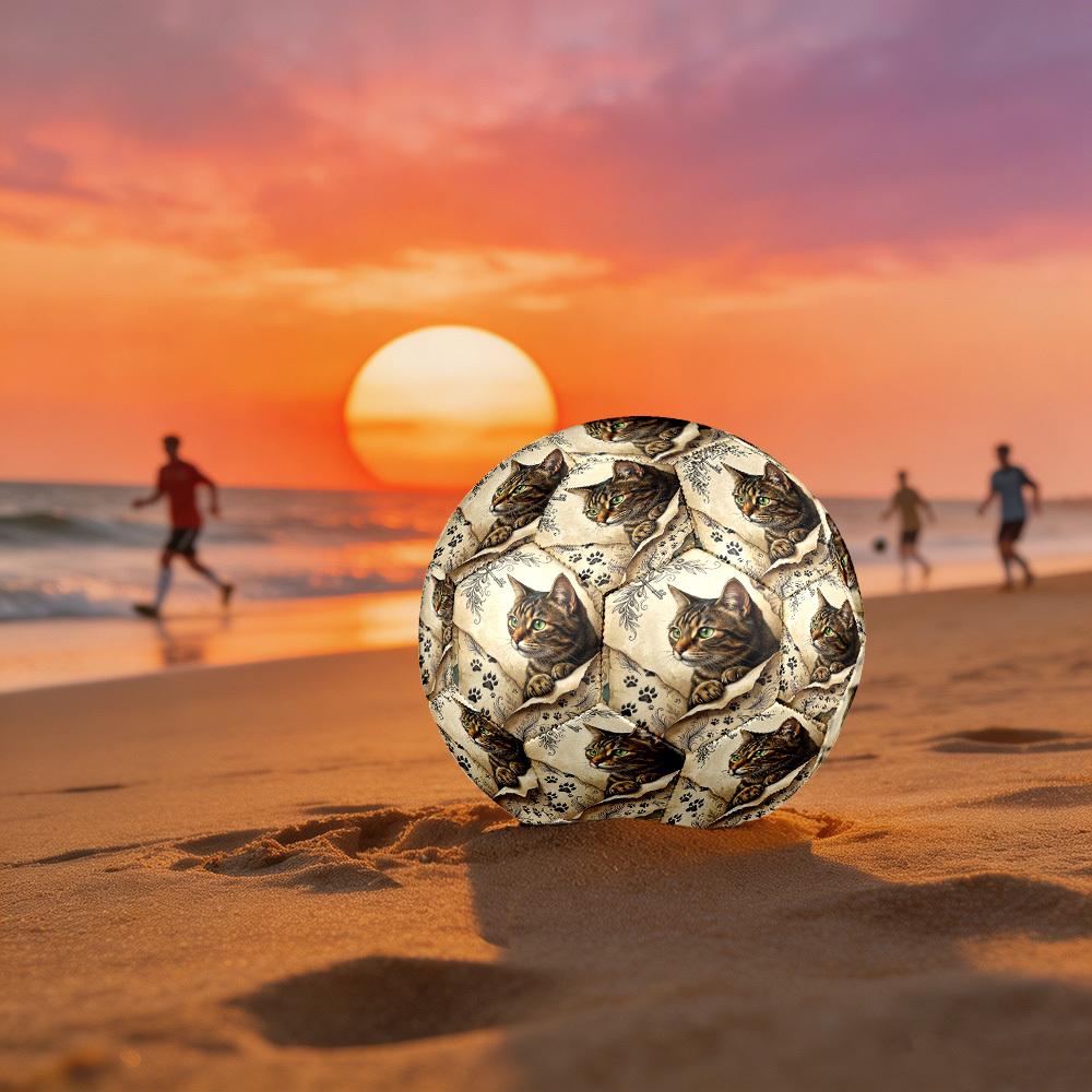 1pc Cat Key Artwork Theme Soccer Ball Football, Size 5, Lightweight PVC, Outdoor Training Soccer Ball,Gift C6590