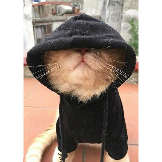 5D Diy Diamond Painting Fox Square/Round Diamond Embroidery Animal Cross Stitch Kit Rhinestone Mosaic Home Decoration