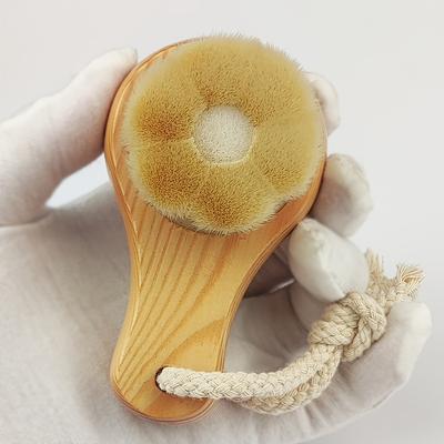 Duş ve banyo ürünleri – Yüz Fırçaları ve Süngerler