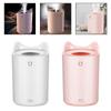 Cool Mist Humidifier for Home Use with Auto Shut Off 2L Capacity for Alleviating Dry Skin and Throat Discomfort