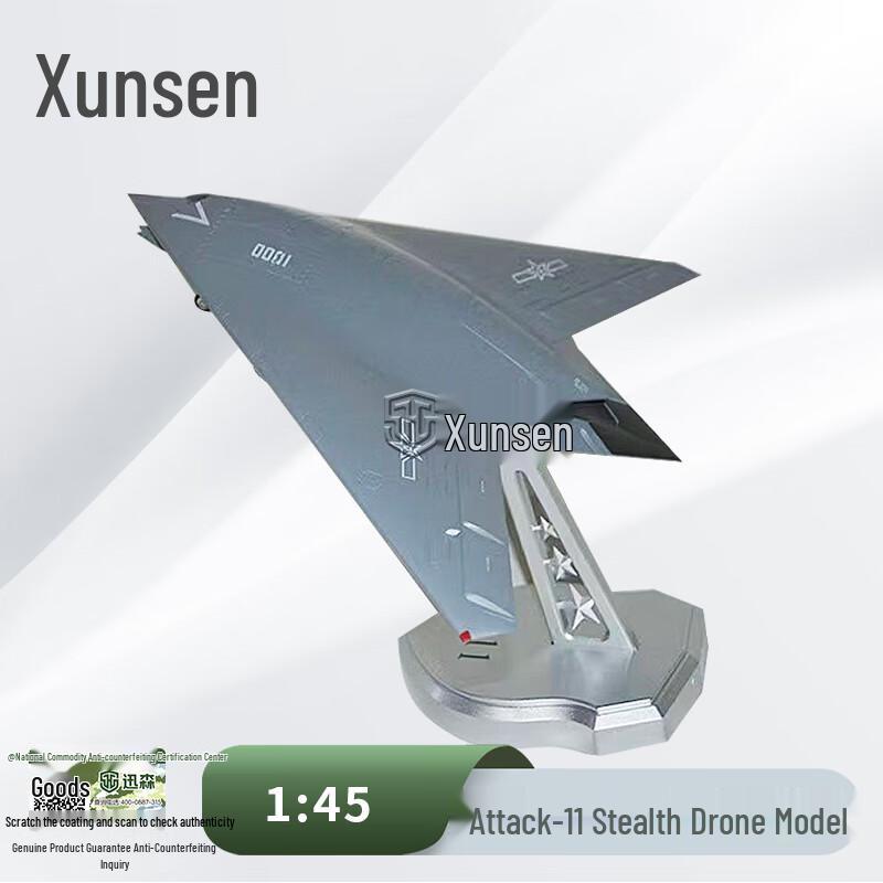 J-11 Stealth Fighter Aircraft Model