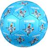 1pc FIFA World Cup Theme Size 5 Soccer Ball, Standard Sport Football Firm Stitching for Training And Match, Gentle On the Feet