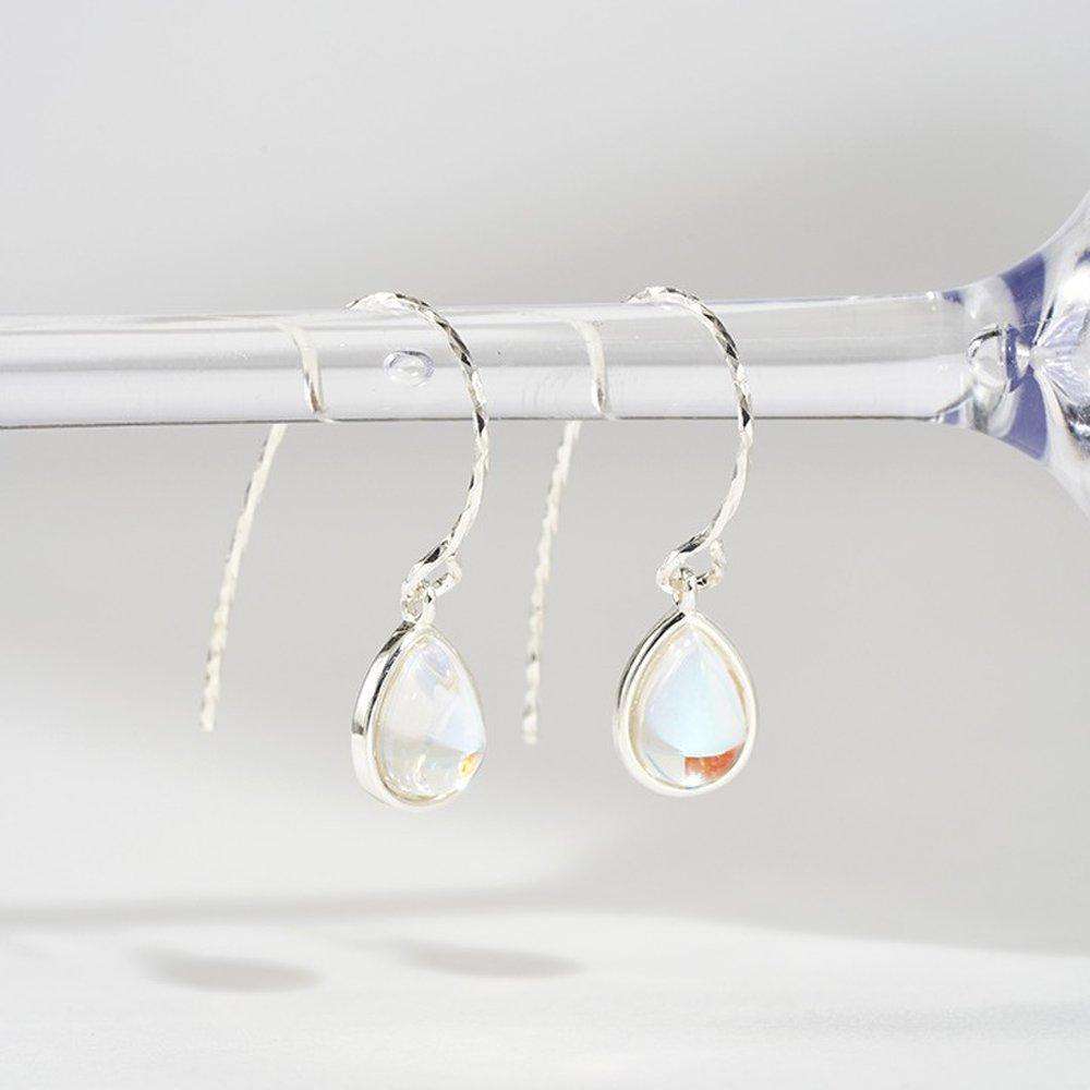 

925 Silver Waterdrop Hook Earrings W