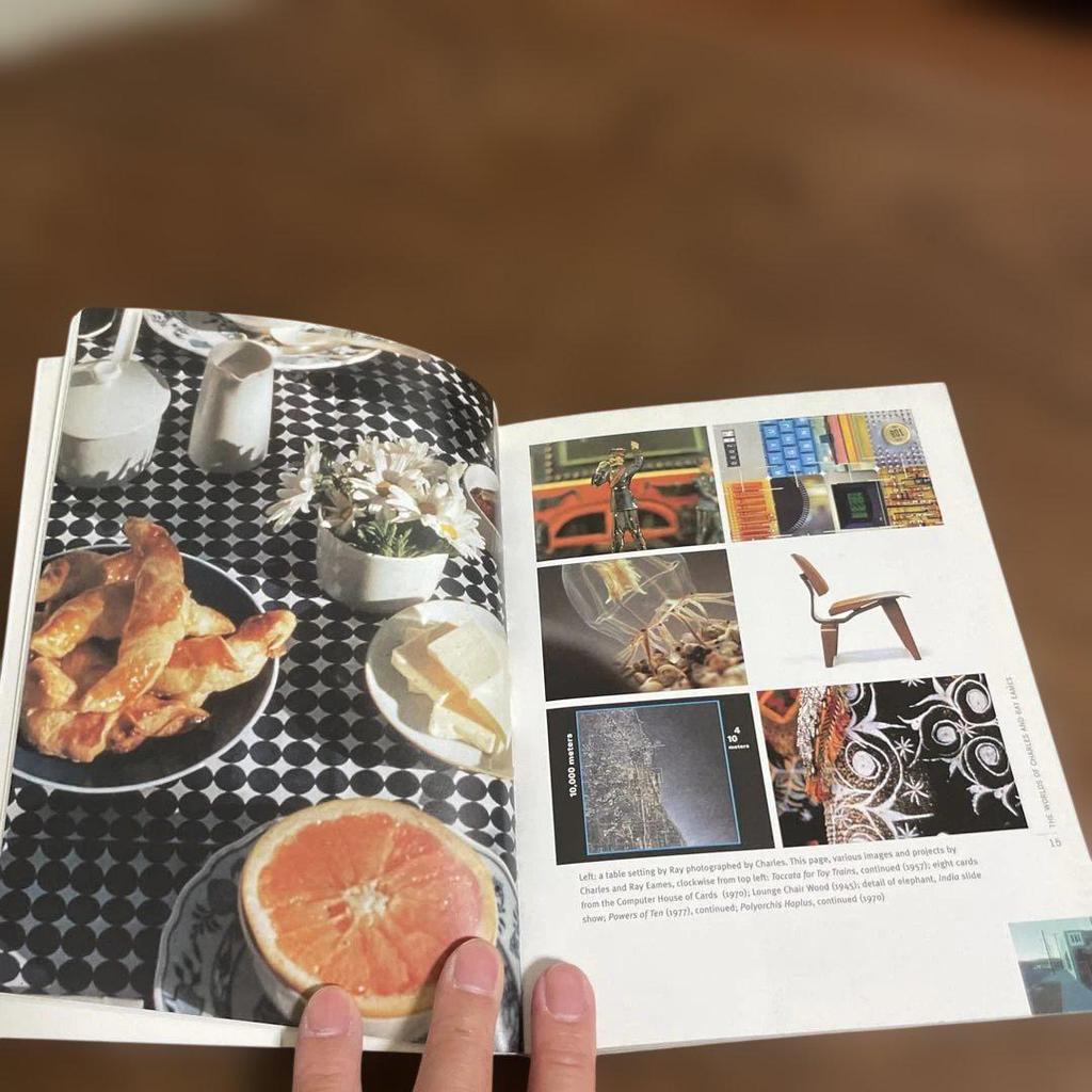 [USED] An Eames Primer Books: Furniture from the Eames Era, Set of 2