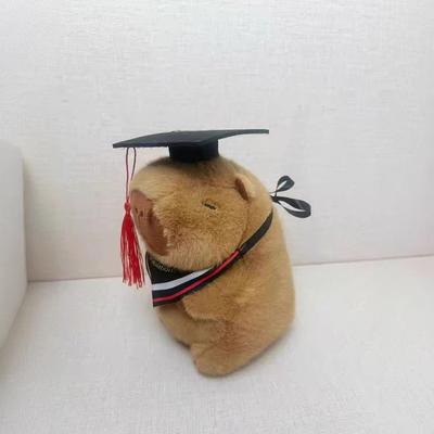 23Cm Doktor Şapkası Kapibara Peluş Oyuncak Mezun Peluş Bebekler Sevimli Doldurulmuş Hayvan Peluş Oyuncak Sevimli Kolye Çizgi Film Yastık Mezuniyet Hediyesi