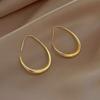 Fashionable Geometric Hoop Earrings Niche Simple Versatile Earrings High-end Temperament Cool Style Earrings for Women