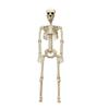 90cm Halloween Skeleton Decor Poseable Joints For Creepy Positions, Perfect For Yard/haunted House Displays Skeleton Props