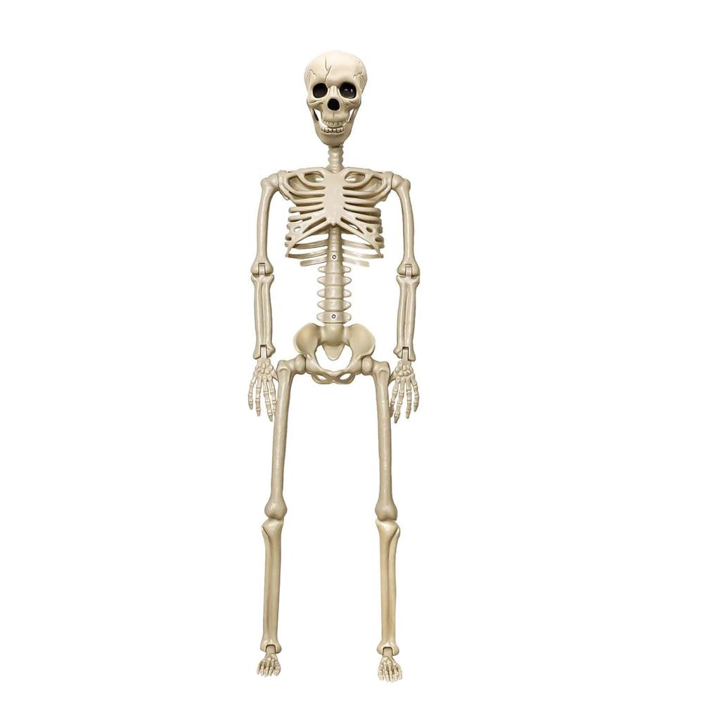 90cm Halloween Skeleton Decor Poseable Joints For Creepy Positions, Perfect For Yard/haunted House Displays Skeleton Props