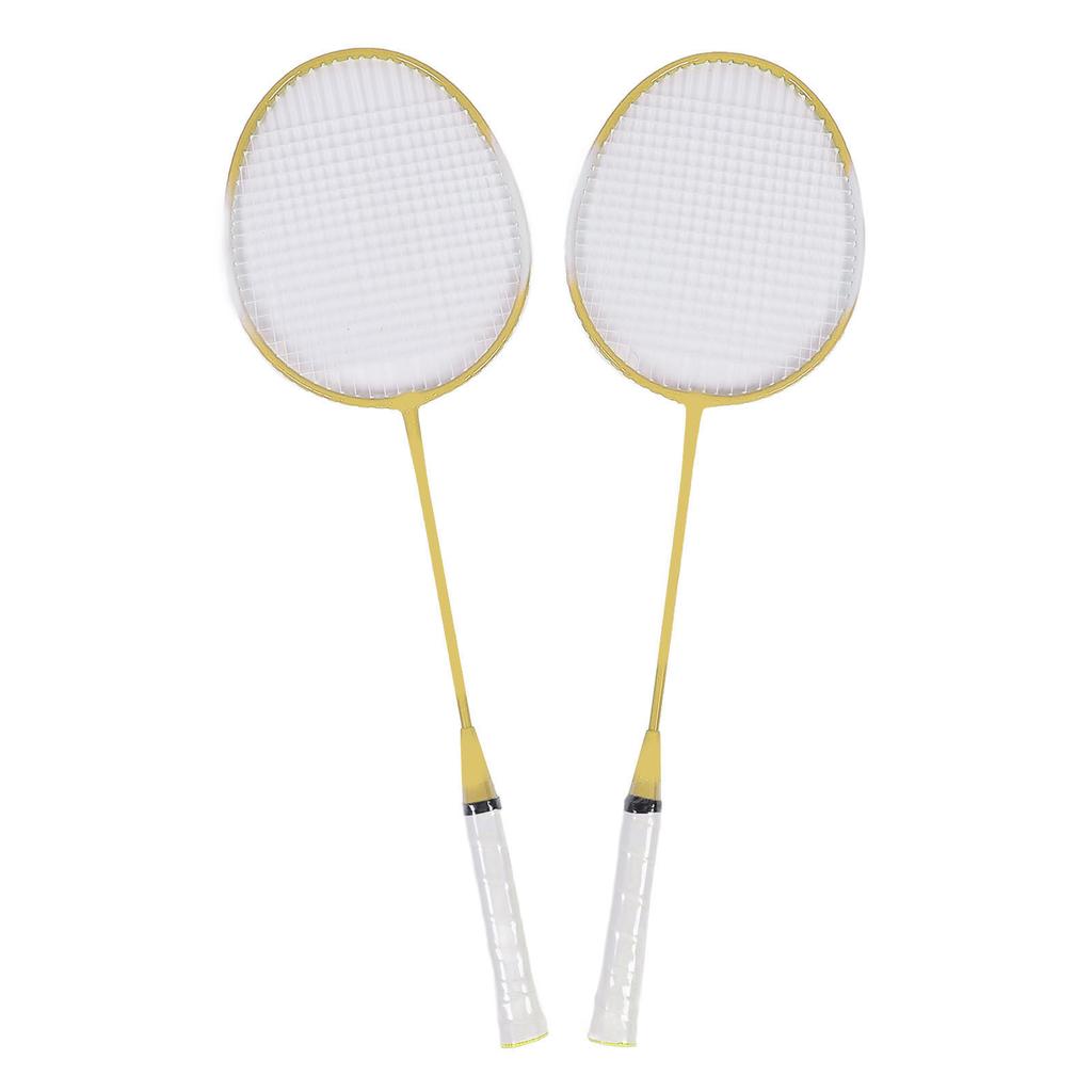 2 Player Badminton Set Low Vibration Strong Elasticity Iron Alloy Badminton Rackets Set with 3 Nylon Shuttlecocks Carry
