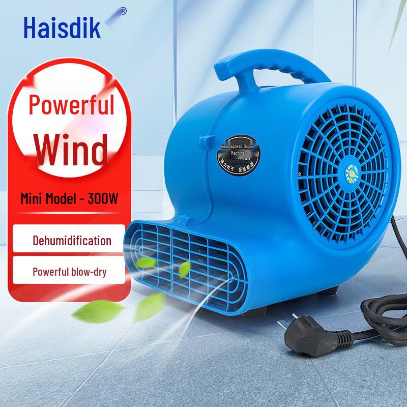 Haisidick Mini Floor & Carpet Dryer CN plug (adapter included)