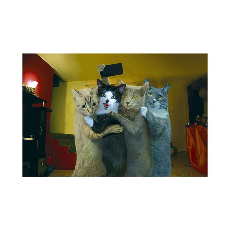 Funny Cute Cat Canvas Painting, Animal Big Eyes Kitty Posters and Prints, Pictures for Kids Room, Home Decor Quadro