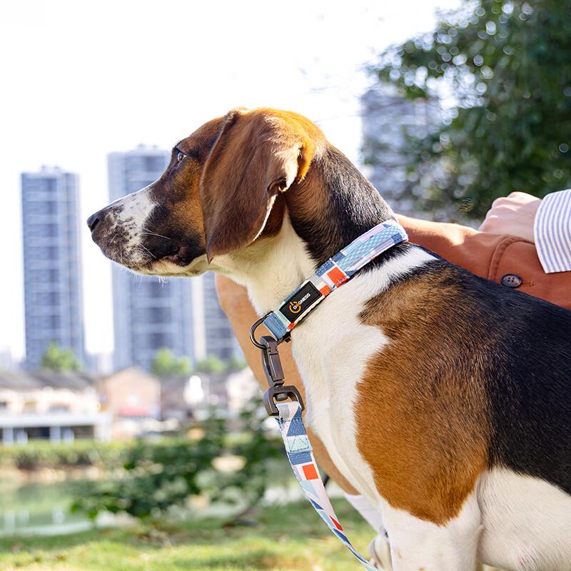 DOGNESS LED Light-Up Dog Collar
