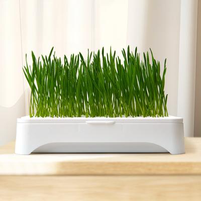 Pet Cat Grass Planting Basin Soilless Culture Wheat Seedling Pot Kitten Grass Hydroponic Device Horticultural Planting Pot