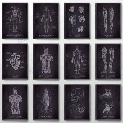 Músculo Pé Osso Coração Anatomia Esqueleto Arte de Parede Pintura em Tela Pôsteres e Impressões Nórdicas Imagens de Parede para Decoração de Consultório Médico