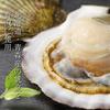 EBLIM Scallop Shellfish 500g Hokkaido Product Domestic Production Special Sweet Spicy Soy Sauce Marinade Grilled Slowly Over Low High Heat 300 Ears
