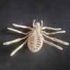 Halloween Animal Skeleton Horrible Spider Skeleton Model for Yard Garden Simulation Spider Bone Lawn Patio