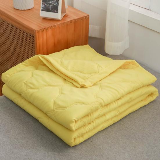 Piumone Estivo Fresco Leggero Trapuntato Singolo Matrimoniale King Size Reversibile Traspirante Coperta Trapuntata per Letti Viaggio Uso Domestico