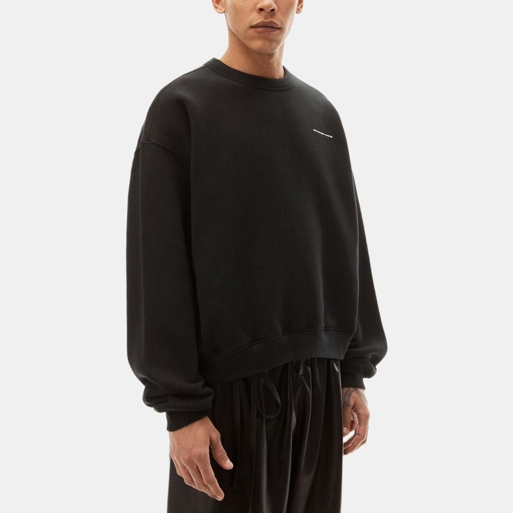 Alexander Wang Sweaters Unisex Black Crew Neck Moderate UCC2221530-001