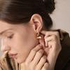 Jaynui Artistic Earrings 14k Gold Plated