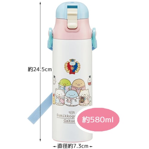 Skater Kids' Stainless Steel Water Bottle, Direct Drinking, 580ml, Sumikkogurashi, Girls' Size (SDC6N-A)