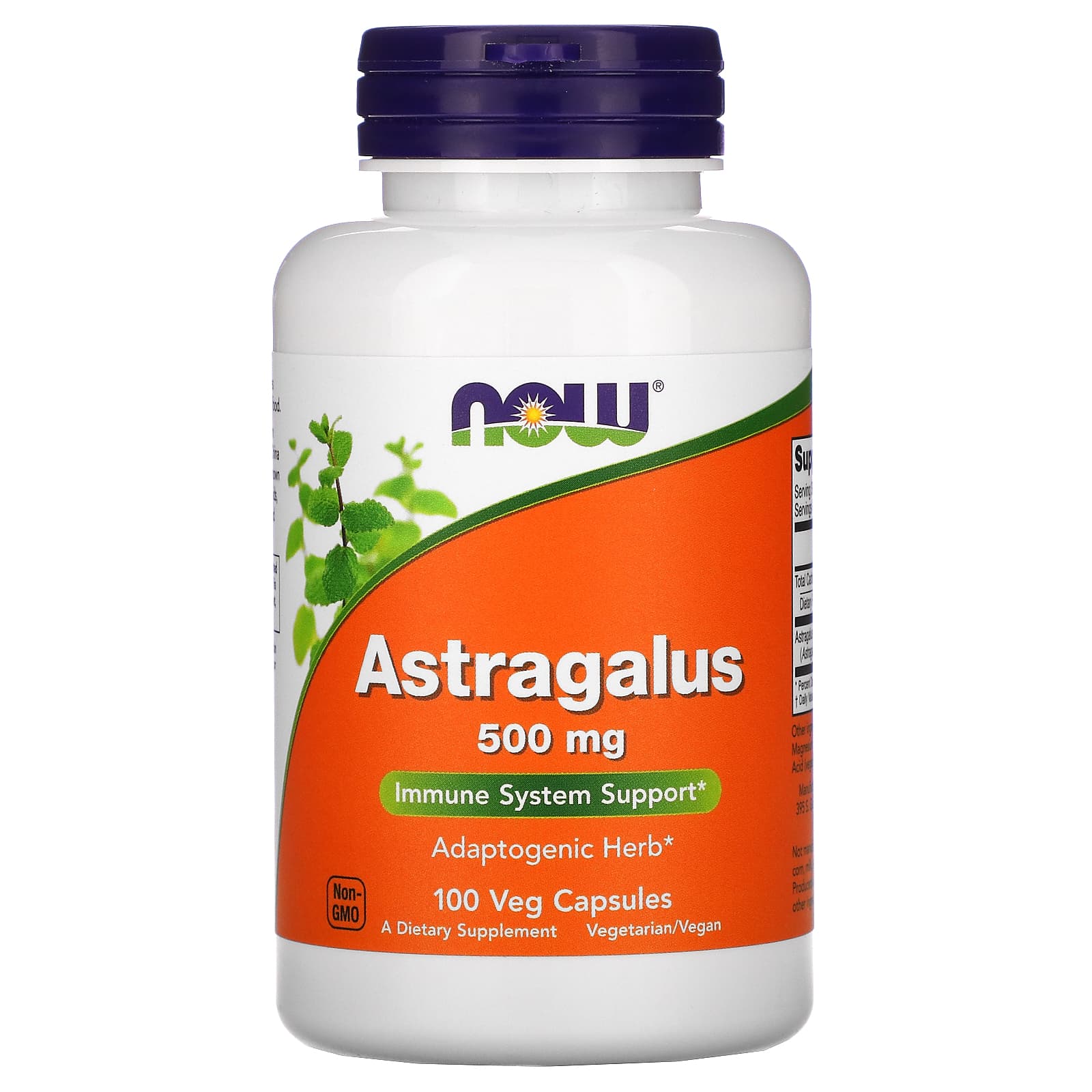 

Astragalus, 500 Mg, 100 Veggie Capsules
