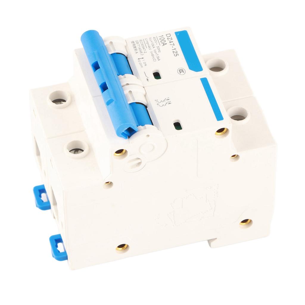 Interruptor de protección contra fugas 400V 80100125A DZ47?125 2P? Disyuntor miniatura de corriente(100A)