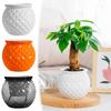 Hydroponic Flower Pot Transparent Automatic Water Absorbing Flowerpot Household Plants Self Watering Planter Home Office Decor