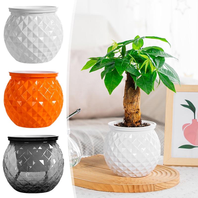 Hydroponic Flower Pot Transparent Automatic Water Absorbing Flowerpot Household Plants Self Watering Planter Home Office Decor
