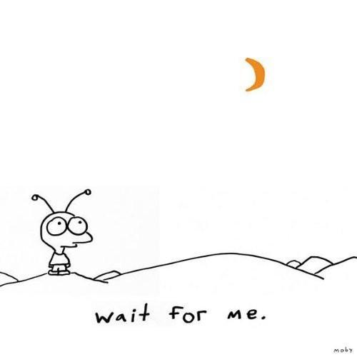 

CD MOBY - Wait For Me IDIOT001 Little Idiot 2009 UK Dance & Electronica Used