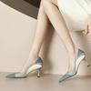Mode 2024 Frühling Sommer Gemischte Farben Spitzschuh Hohe Absätze Einzelne Schuhe Neues Temperament Stiletto Lederschuhe Elegante Damenschuhe